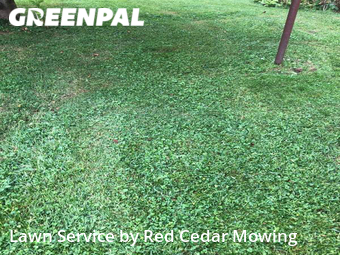 Grass Cutting nearby Lansing, MI, 