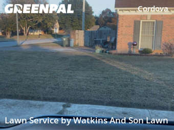 Lawn Management in Cordova, 38016, Lawn Cutting by Watkins And Son Lawn, work completed in Dec , 2025