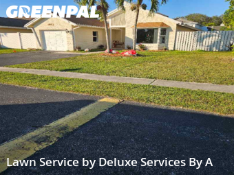 Lawn Servicein Sunrise,33351,Yard Cutting by Deluxe Services By A, work completed in Feb , 2026