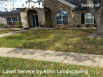 Landscaping Companies In Carrollton,75006,Landscaping by Alfas Landscaping, work completed in Apr , 2026