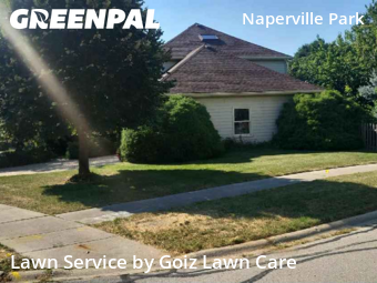 Yard Mowingin Naperville,60565,Grass Cut by Goiz Lawn Care, work completed in Nov , 2025