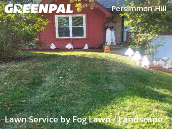 Lawn Mowing Service nearby Olathe, KS, 