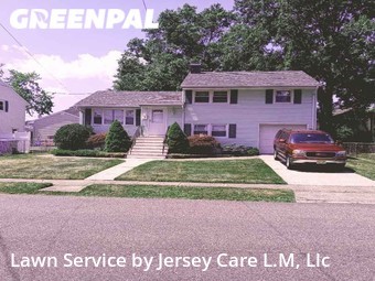 Grass Cut nearby Woodbridge Township, NJ, 