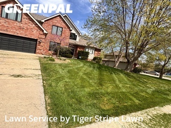 Grass Cutting nearby Papillion, NE, 