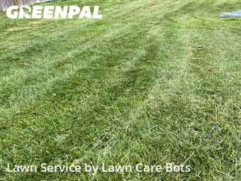Lawn Cut nearby Pemberton Township, NJ, 