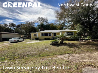 Grass Cut nearby Tampa, FL, 