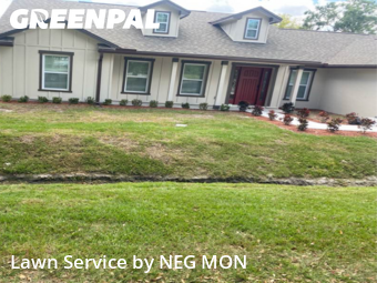 Lawn Cut nearby Mulberry, FL, 