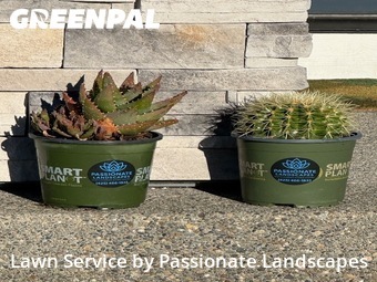 Property Maintenance in Lacey, 98503, Front Yard Mowing by Passionate Landscapes, work completed in Dec , 2025