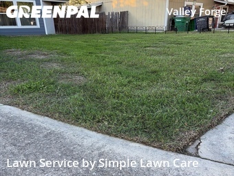 Lawn Care Service nearby San Antonio, TX, 
