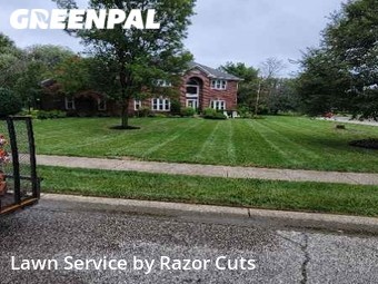 Grass Cutting nearby Indianapolis, IN, 