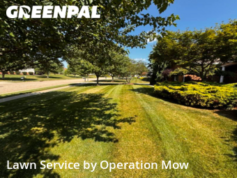 Grass Cutting nearby Canton, OH, 