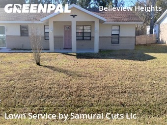 Grass Cutting nearby Summerfield, FL, 
