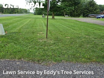 Yard Cutting nearby Hopkins, MI, 
