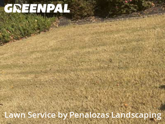 Lawn Cut nearby Suwanee, GA, 