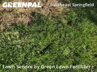 Yard Cutting nearby Springfield, MO, 