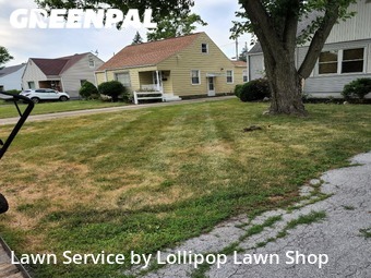 Grass Cutting nearby Lima, OH, 