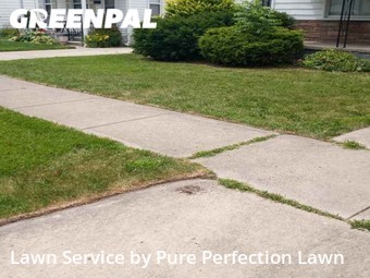 Lawn Care Service nearby Wyandotte, MI, 