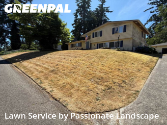 Landscaping Maintenance in Lacey, 98503, Property Maintenance by Passionate Landscape, work completed in Nov , 2025