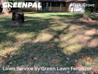 Lawn Care Service nearby Springfield, MO, 