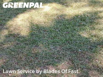 Grass Cutting nearby Atlanta, GA, 