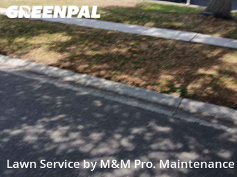 Lawn Maintenance nearby Clearwater, FL, 