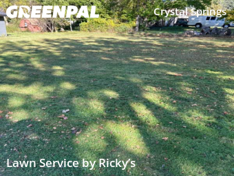 Grass Cutting nearby Grand Rapids, MI, 