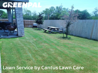 Lawn Mow nearby San Antonio, TX, 