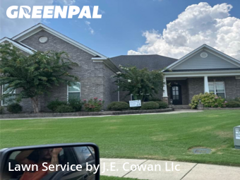 Grass Cut nearby Owens Cross Roads, AL, 