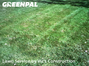 Lawn Mowing Service nearby Channahon, IL, 