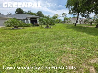 Grass Cut nearby Ocala, FL, 