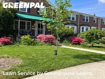 Lawn Care Service nearby Baltimore, MD, 