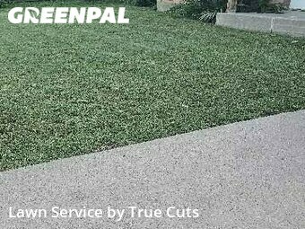 Lawn Mow nearby Moore, OK, 