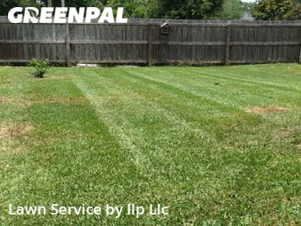 Grass Cut nearby Seffner, FL, 