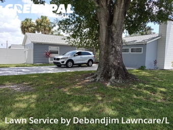 Yard Cutting nearby Tampa, FL, 