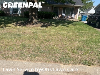 Yard Cutting nearby Ten Broeck, KY, 