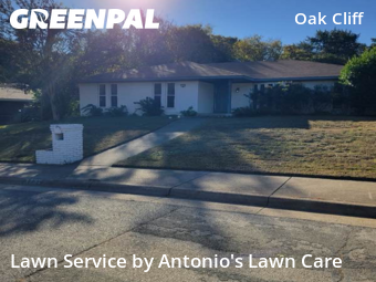Lawn Servicein Dallas,75233,Yard Cutting by Antonio's Lawn Care, work completed in Nov , 2025