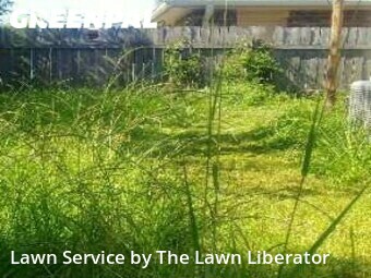 Lawn Cut nearby Saint Rose, LA, 