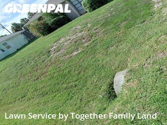 Lawn Maintenance nearby Port Charlotte, FL, 