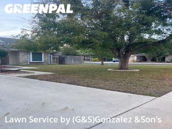 Lawn Mowing nearby Converse, TX, 