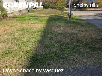 Lawn Care nearby Nashville, TN, 