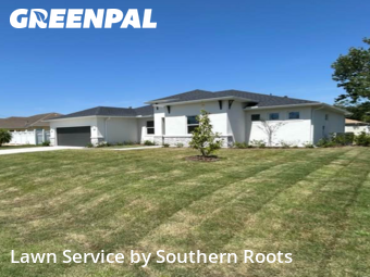 Lawn Cut nearby Palm Coast, FL, 