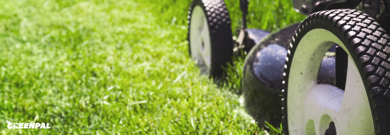 How to Manage a Ton of Calls as a Lawn Care Business Owner