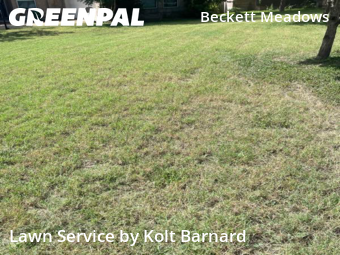 Lawn Service nearby Austin, TX, 