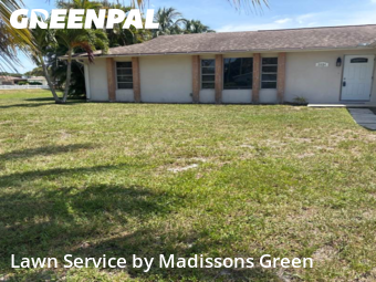 Lawn Maintenance in Palm Beach Gardens, 33410, Lawn Mowing by Madissons Green, work completed in Nov , 2025