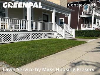 Grass Cut nearby Boston, MA, 