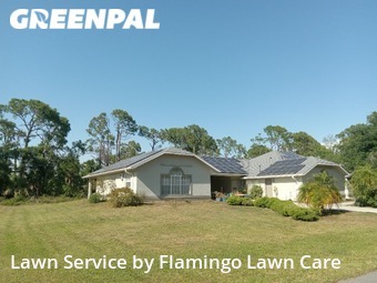 Grass Cutting nearby Port Charlotte, FL, 