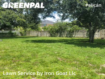 Yard Cutting nearby Cape Coral, FL, 