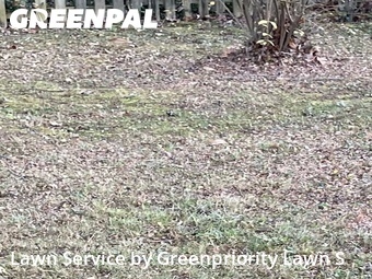 Lawn Mowing Service nearby Henrico, VA, 