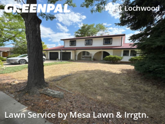 Lawn Care nearby Lakewood, CO, 