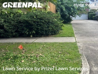 Lawn Care Servicein Houston,77006,Lawn Cutting by Prizel Lawn Services, work completed in Jun , 2026